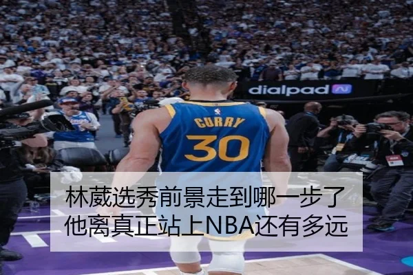 林葳选秀前景走到哪一步了 他离真正站上NBA还有多远（kaiyun）